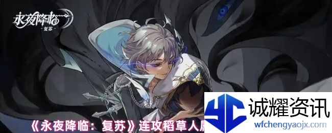 《永夜降临：复苏》连攻稻草人属性解析及搭配推荐