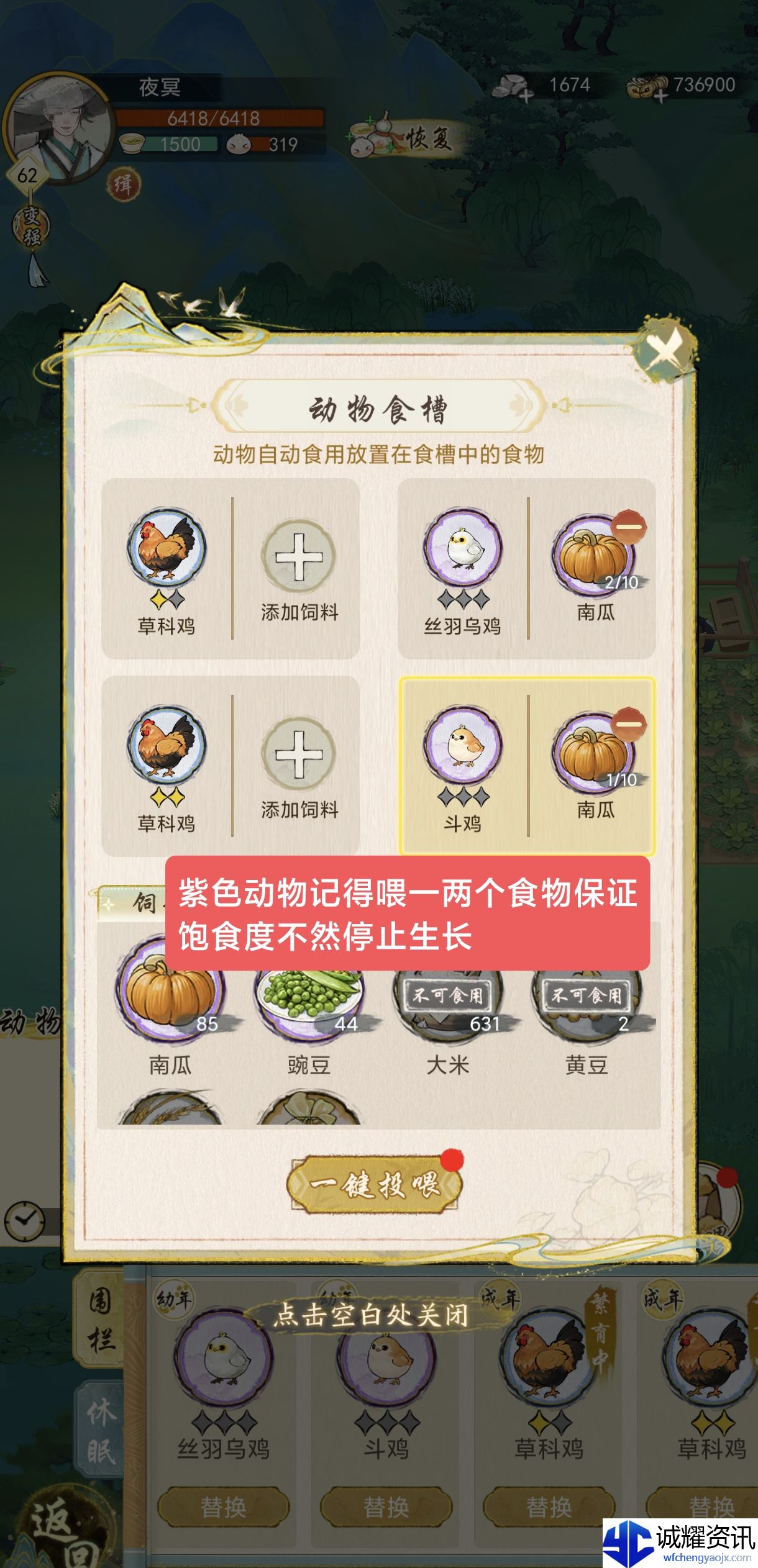 《华夏千秋》每日必做任务