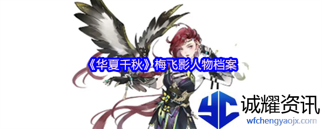 《华夏千秋》梅飞影人物档案