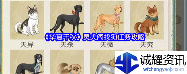 《华夏千秋》灵犬阁找狗任务攻略