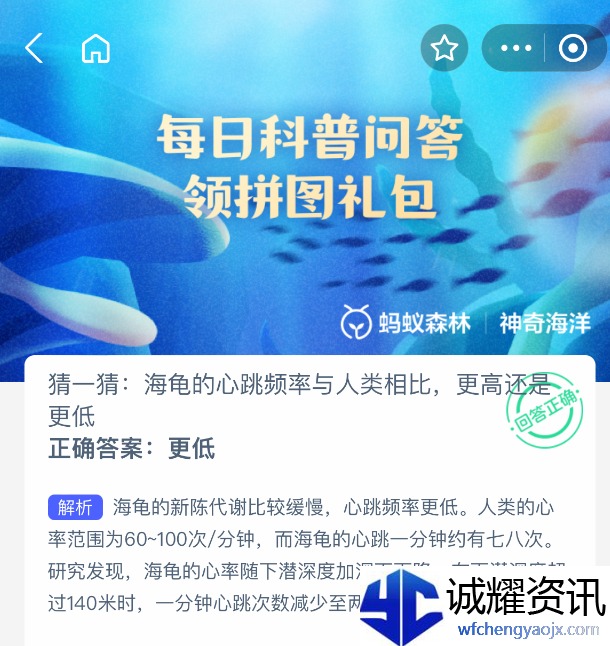 海龟的心跳频率与人类相比，更高还是更低