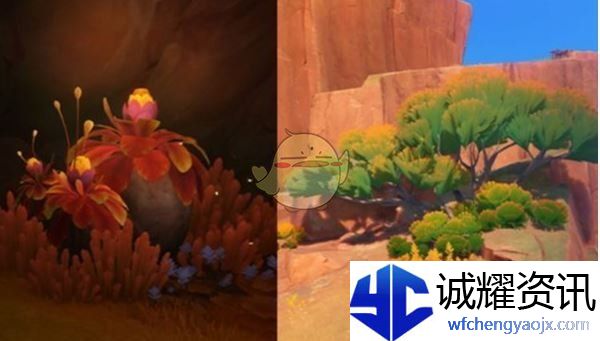 《原神》尘歌壶纳塔木材种类介绍