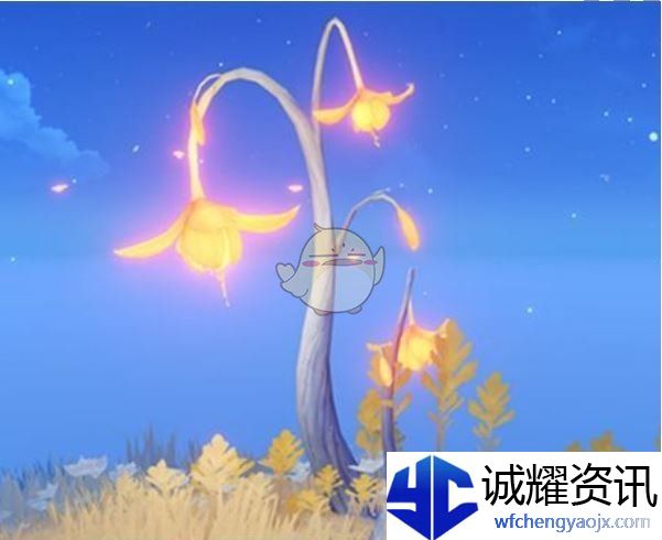《原神》尘歌壶纳塔木材种类介绍