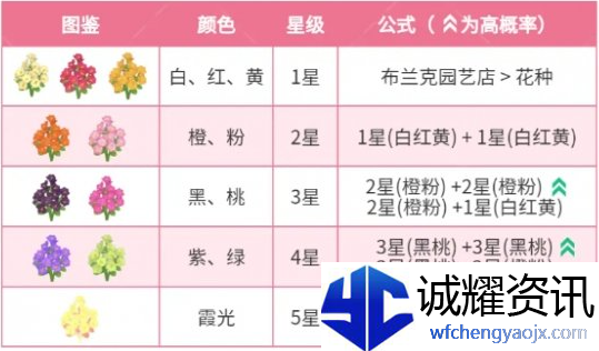 心动小镇迎春花杂交配方有哪些