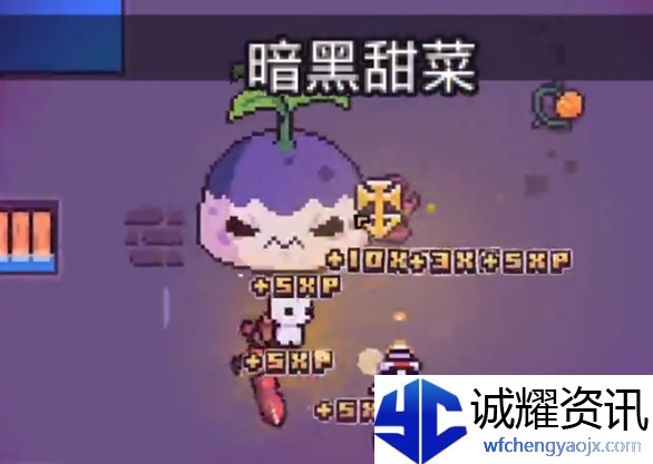 《浮岛冒险》找到暗黑甜菜方法