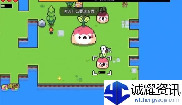 《浮岛冒险》甜菜精岛作用介绍