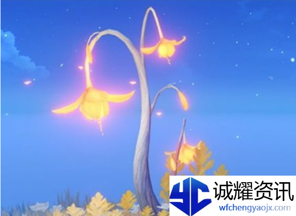 原神尘歌壶纳塔木材有哪些