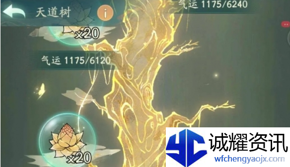 寻道大千天道树气运值怎么得