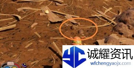 禁闭求生蛴螬皮在哪里