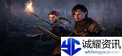 上古卷轴ol耐法种族怎么选择