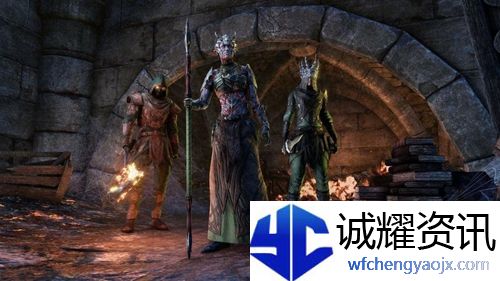 上古卷轴ol耐法种族怎么选择