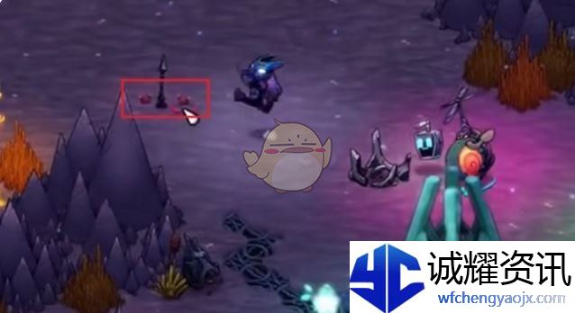 《崩溃大陆2》南瓜掌位置一览