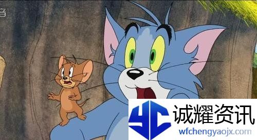 可怜的汤姆猫被她鼓掌之中梗的含义及出处介绍