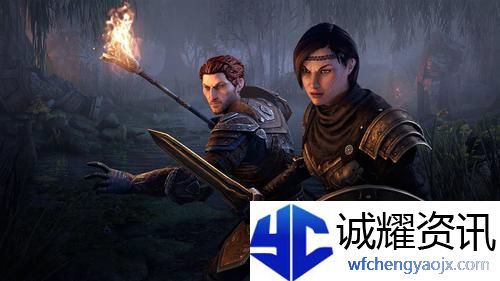 上古卷轴OL耐龙加点怎么加