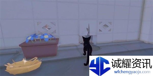 小猫咪大城市乌龟帽怎么收集