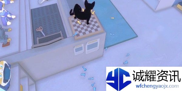 小猫咪大城市将军成就攻略